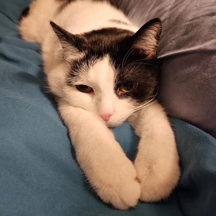 Profile Picture of Kristin McFarland (@kristinmcfarland3) on Tiktok