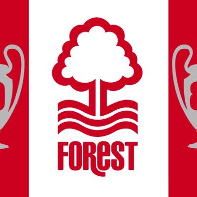 Profile Picture of Craig Hallam (@binghamnffc) on Twitter