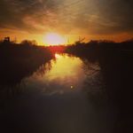 ALEX - Instagram Profile Picture of ALEX (@alex_gerzen) on Instagram