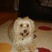 Profile Picture of Jodie Chaput (@jodie.chaput.5) on Facebook