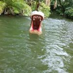 Profile Picture of Iris Shaw (@iris.shaw.1000) on Instagram