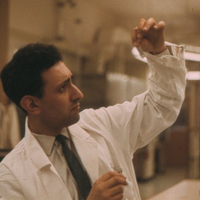 Profile Picture of In Memoriam: Professor Vivian Moses (@ProfessorVMoses) on Twitter
