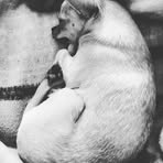 Profile Picture of Paul Lullwitz (@paul.lullwitz.3) on Facebook