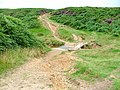 Profile Picture of Sheepwash, North Yorkshireon Wikipedia