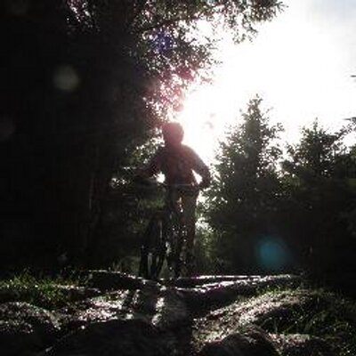 Profile Picture of Matty D (@ChooColwell) on Twitter