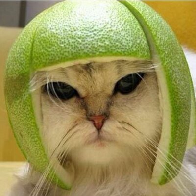 Profile Picture of Matrix™ (@Matt_D_Bolger) on Twitter