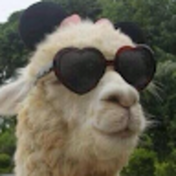 Profile Picture of Erica Zanotti (@202zanottie) on Poshmark