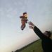 Profile Picture of Raghad Moath (أمہ غہرأمہ) (@raghad.moath.10) on Facebook