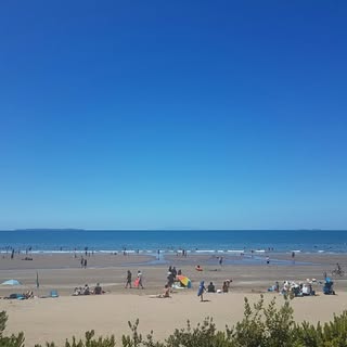 Profile Picture of Marcella Holt (@holtmarcella) on Instagram