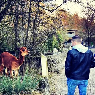 Profile Picture of Daniel_Riesen (@daniel_riesen) on Instagram