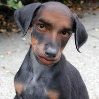 Profile Picture of Don Diego (@don-diego-83) on Quora