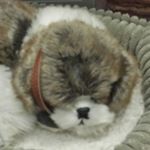 Profile Picture of Damien morrell (@kngdyguy) on Instagram