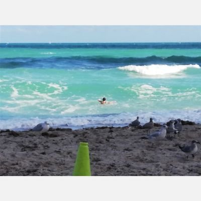 Profile Picture of Ruth S. Ulloa Ramos (@ruth_ulloa) on Twitter