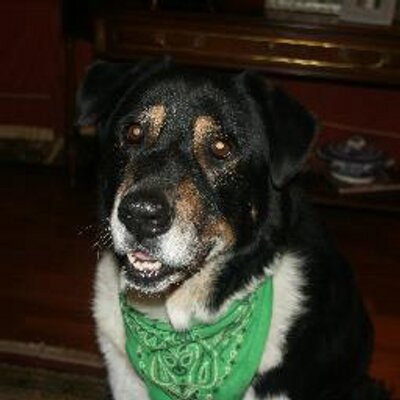 Profile Picture of Mike Quarles (@quarles1) on Twitter