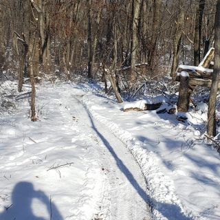 Profile Picture of Keith Jablonowski (@keithjab) on Instagram