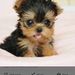 Profile Picture of David Gilbride (@ramagelynne) on Pinterest