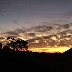 Profile Picture of Xiaohong He (@XiaohongHe) on Twitter