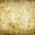 Cecilia Fagan - Instagram Profile Picture of Cecilia Fagan (@ceciliafagan) on Instagram