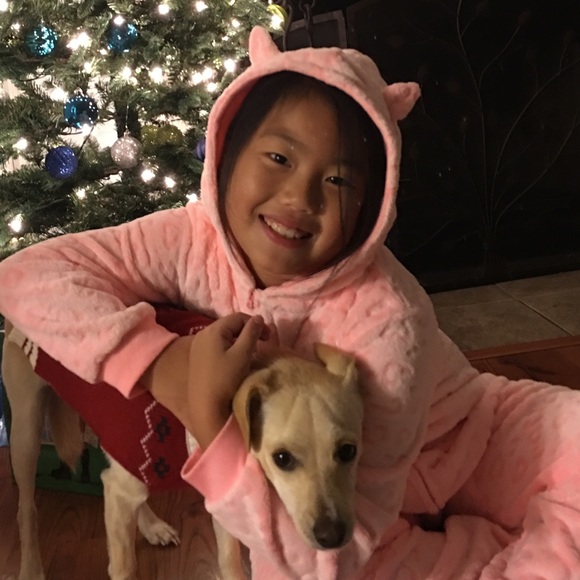 Profile Picture of Lily Zeng (@lilyzeng12) on Poshmark