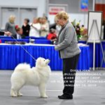 Profile Picture of Tina Oswald (@tkoswald66) on Instagram