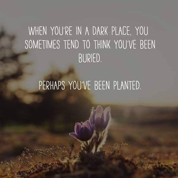 Profile Picture of Teri Dilloway (@luvmykidz_59) on Poshmark