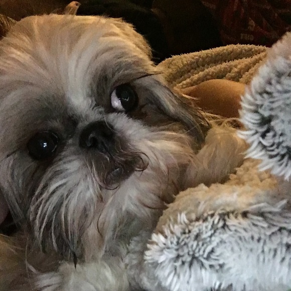 Profile Picture of Kailtyn Beaudreau (@k_abrielle) on Poshmark