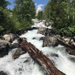 Profile Picture of Kim Earley (@k.earley02) on Instagram