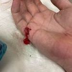 Profile Picture of Nicholas Vandale (@dumbstupidapparel) on Instagram