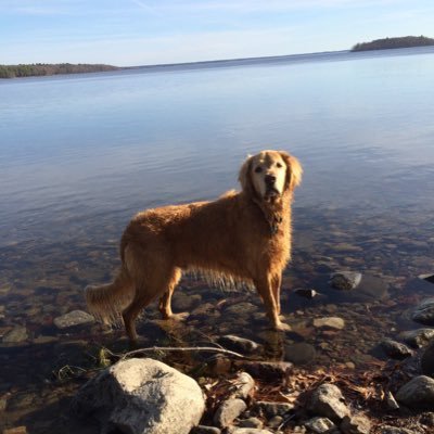 Profile Picture of Patrick Reagan (@DrP_Reagan) on Twitter