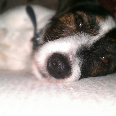 Profile Picture of Adrian Jenkins (@adrianjenkins68) on Twitter