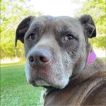 Profile Picture of Evangeline Hacken McCarty (@eehacken) on Instagram