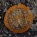 Profile Picture of Denis Chartier (@denis.chartier.5602) on Facebook