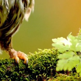 Profile Picture of Justin (@Justinamelio) on Twitter