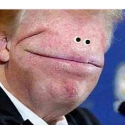 Profile Picture of Zach Boren (@fatmonk3y113) on Twitter