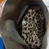 Profile Picture of phyllis8joycej (@@phyllis8joycej) on Tiktok
