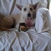 Profile Picture of Grant Paull (patch) (@grant.paull.7) on Facebook