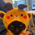 Profile Picture of John Masucci (@John-Masucci) on Facebook