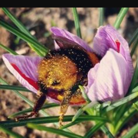 Jennifer Bastion - Poshmark Profile Picture of Jennifer Bastion (@jenniferab82) on Poshmark