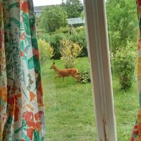 Jesper Petersen - Quora Profile Picture of Jesper Petersen (@jesper-petersen-3) on Quora