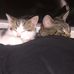 Profile Picture of Michael Dismukes (@Michael-Dismukes) on Facebook