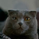 Profile Picture of Adams (@adamsmyersco) on Instagram