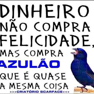 Profile Picture of Haleyson Wendel (@haleyson.wendel) on Facebook