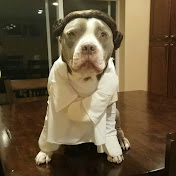 Profile Picture of Paul Mathews (@paulmathews2482) on Youtube