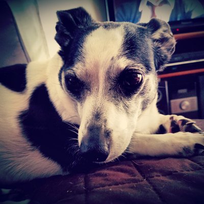 Profile Picture of Michael Crance (@michael_crance) on Twitter