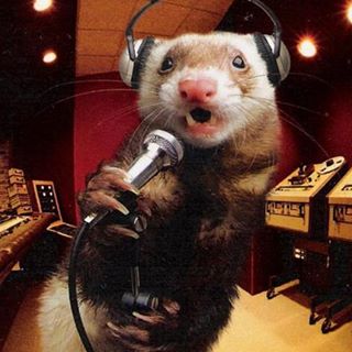 Profile Picture of Aaron Gurrola (@arrosco) on Facebook