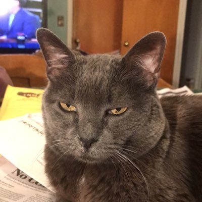 Profile Picture of Tim Babb (@tim_babb) on Twitter