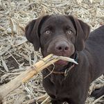 Profile Picture of Jeremy Fleming (@jeremy_fleming_44) on Instagram