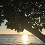 Profile Picture of Josee Cantin (@cantinjosee) on Instagram