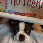 Profile Picture of Helen Gail Holt Downs (@hghdowns) on Instagram