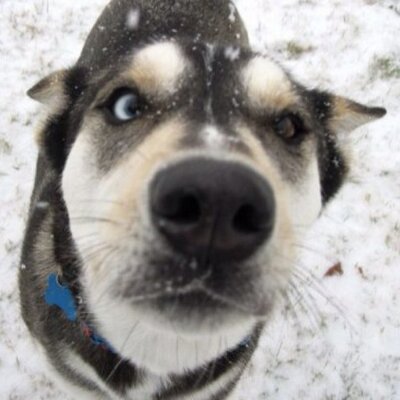 Profile Picture of Addie Walker (@addie_walker) on Twitter